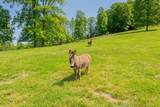 63 Acres Gibson Knob Rd. - Photo 26