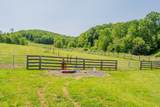 63 Acres Gibson Knob Rd. - Photo 28