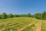 63 Acres Gibson Knob Rd. - Photo 34