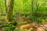 63 Acres Gibson Knob Rd. - Photo 43