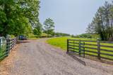63 Acres Gibson Knob Rd. - Photo 52