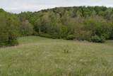 TBD Reed Creek Mill Road - Photo 10