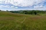 TBD Reed Creek Mill Road - Photo 6