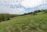 TBD Reed Creek Mill Road - Photo 8
