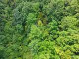 TBD Heralds Valley Road - Photo 4