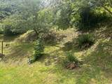 1012 Ward Fork Road - Photo 38