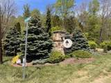 LOT 12 Cove Creek - Photo 1