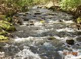 LOT 12 Cove Creek - Photo 10