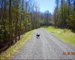 LOT 12 Cove Creek - Photo 8