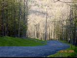 LOT 12 Cove Creek - Photo 9