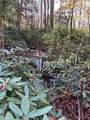 555 Evergreen Trail - Photo 24