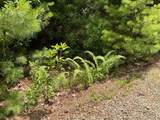 555 Evergreen Trail - Photo 4