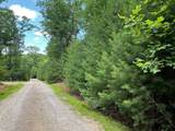 555 Evergreen Trail - Photo 6
