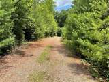 555 Evergreen Trail - Photo 7