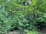 555 Evergreen Trail - Photo 9