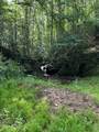 TBD Scalehouse Lane - Photo 13
