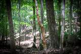 00 Hinesville Rd - Photo 10