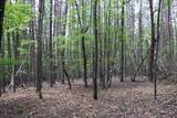 00 Hinesville Rd - Photo 18