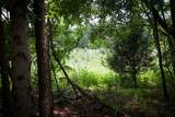00 Hinesville Rd - Photo 29