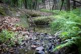 00 Hinesville Rd - Photo 31