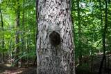 00 Hinesville Rd - Photo 36