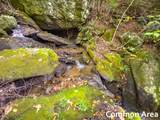 Lot 124 Spring Pond Trl - Photo 45