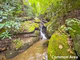Lot 124 Spring Pond Trl - Photo 46