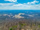 Lot 122 Spring Pond Trl - Photo 3