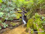 Lot 122 Spring Pond Trl - Photo 33