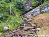 Lot 122 Spring Pond Trl - Photo 46