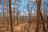 Lot 122 Spring Pond Trl - Photo 54