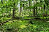Lot 45 Southern View Trail - Photo 1