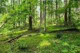 Lot 45 Southern View Trail - Photo 10