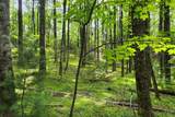 Lot 45 Southern View Trail - Photo 11