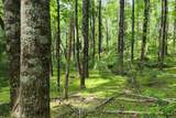Lot 45 Southern View Trail - Photo 12