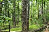 Lot 45 Southern View Trail - Photo 8