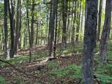 4340 Fox Creek Rd - Photo 10