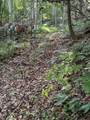4340 Fox Creek Rd - Photo 11