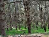 4340 Fox Creek Rd - Photo 41