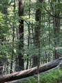 4340 Fox Creek Rd - Photo 42