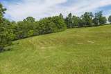 Lot 1 Brush Creek Rd - Photo 3
