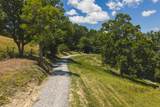 Lot 3 Brush Creek Rd. - Photo 14