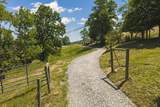 Lot 3 Brush Creek Rd. - Photo 16
