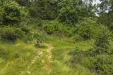 Lot 4 Brush Creek Rd. - Photo 6