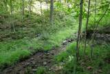 TBD Saratoga Lane - Photo 12