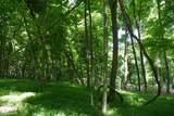 TBD Saratoga Lane - Photo 24