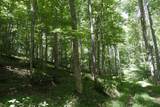 TBD Saratoga Lane - Photo 33