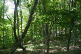 TBD Saratoga Lane - Photo 40