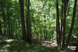 TBD Saratoga Lane - Photo 45