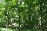 TBD Saratoga Lane - Photo 62